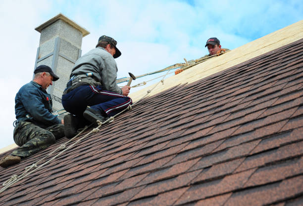 Quick and Trustworthy Emergency Roof Repair Services in Sullivan City, TX